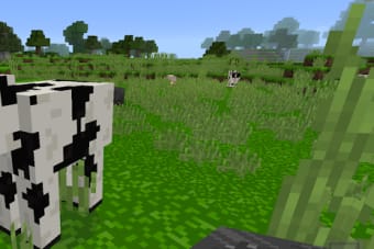 Image 1 for Minicraft 2020